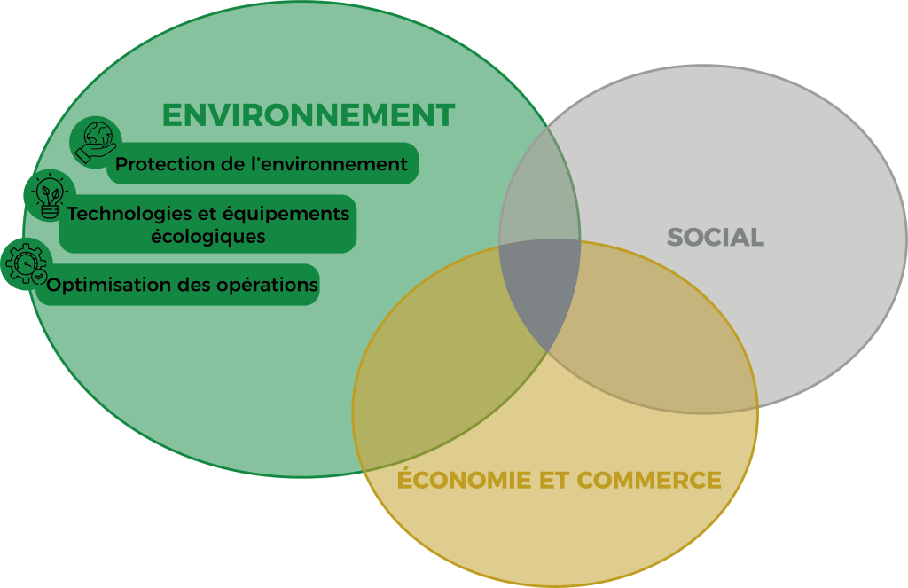 Schéma de la démarche RSE des Transports GAUTHIER, incluant la protection de l'environnement, les technologies écologique et l'optimisation des opérations.