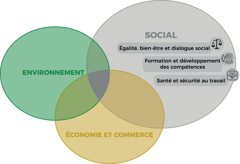 Schéma des engagements RSE des Transports Gauthier sur le volet social, incluant l'égalité, le bien-être, la formation et la sécurité au travail.